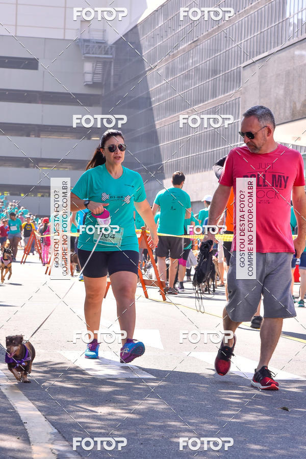 Buy your photos of the event2 Pet Run Shopping Eldorado  on Fotop