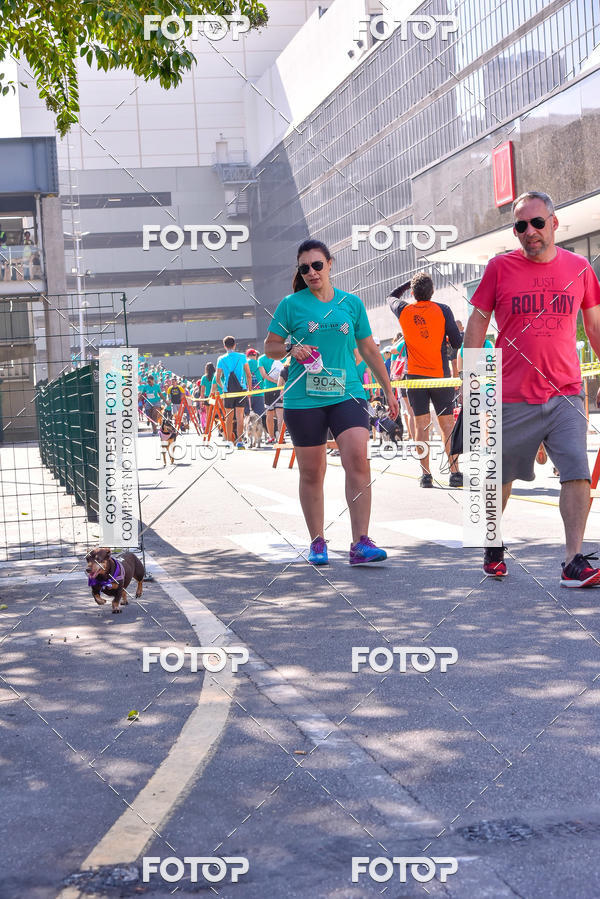Buy your photos of the event2 Pet Run Shopping Eldorado  on Fotop