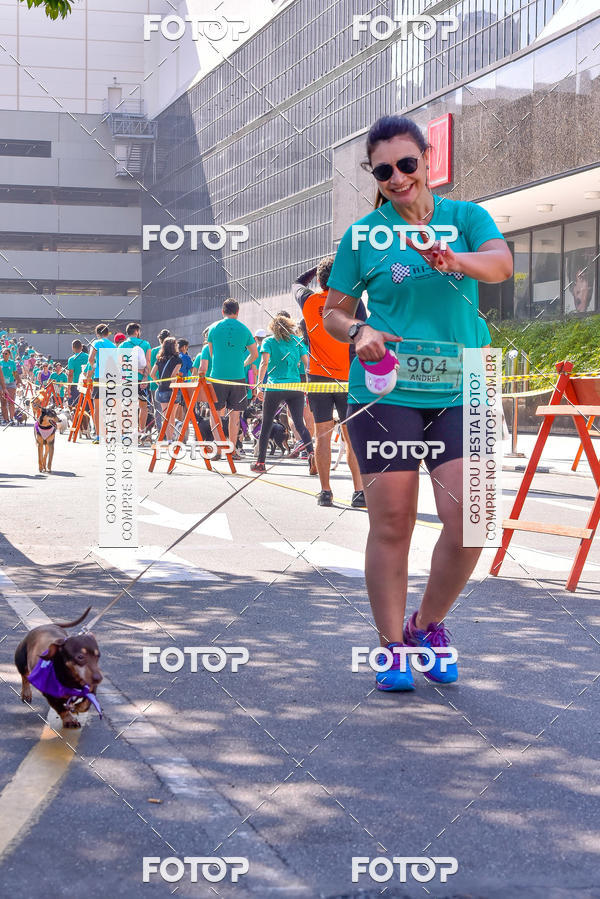 Buy your photos of the event2 Pet Run Shopping Eldorado  on Fotop
