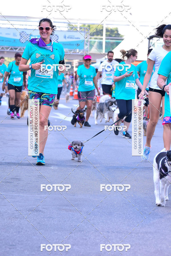 Buy your photos of the event2 Pet Run Shopping Eldorado  on Fotop