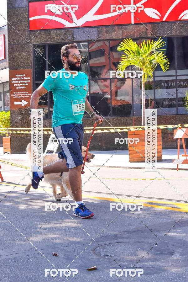 Buy your photos of the event2 Pet Run Shopping Eldorado  on Fotop