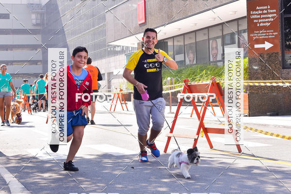 Buy your photos of the event2 Pet Run Shopping Eldorado  on Fotop