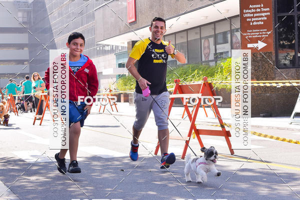 Buy your photos of the event2 Pet Run Shopping Eldorado  on Fotop