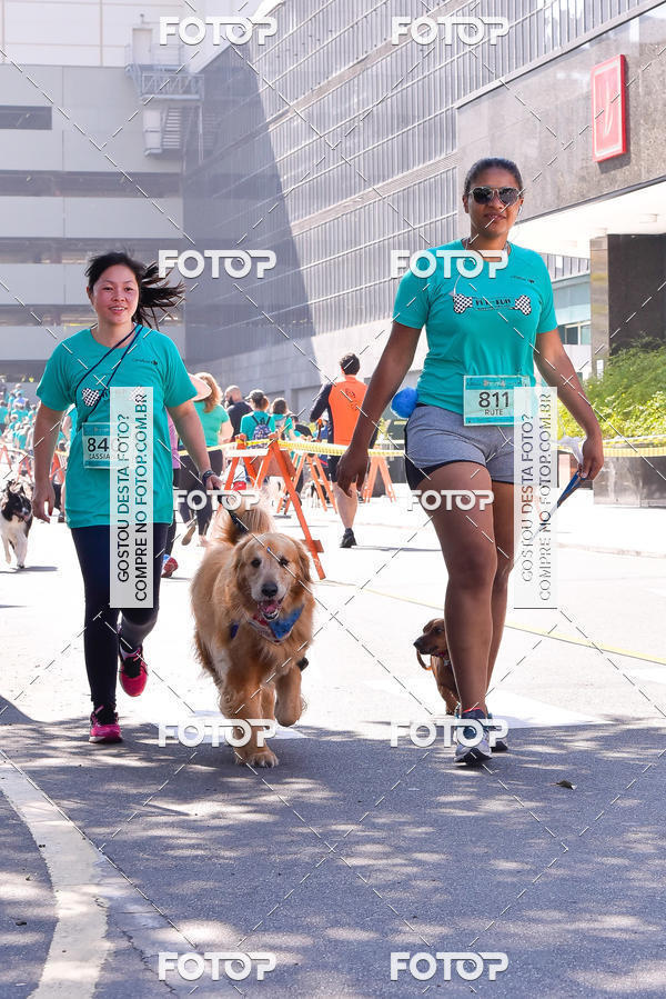 Buy your photos of the event2 Pet Run Shopping Eldorado  on Fotop