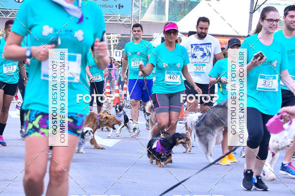 Buy your photos of the event2 Pet Run Shopping Eldorado  on Fotop