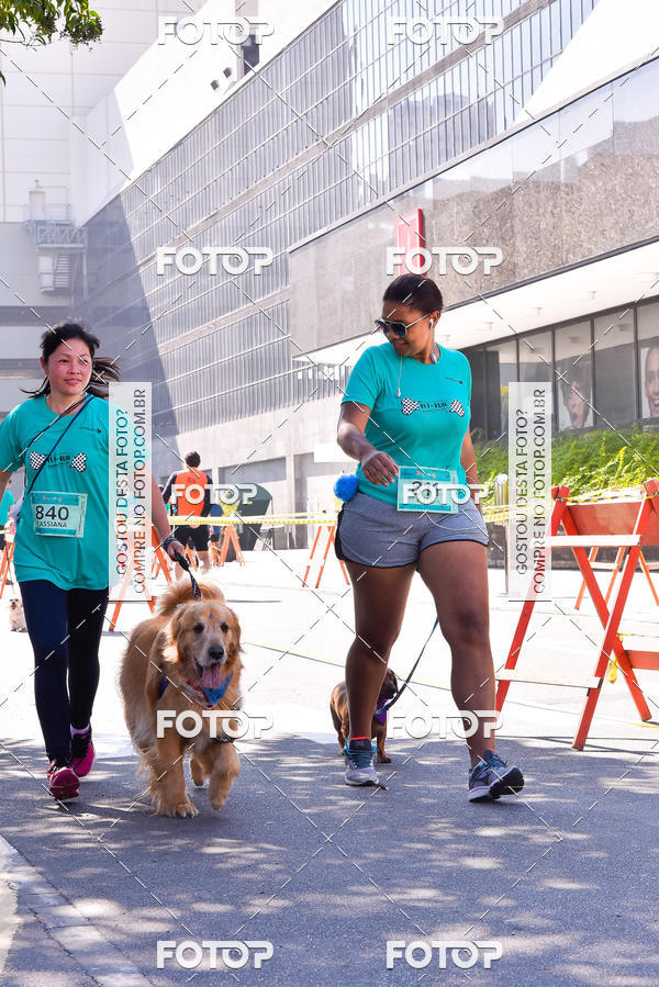 Buy your photos of the event2 Pet Run Shopping Eldorado  on Fotop
