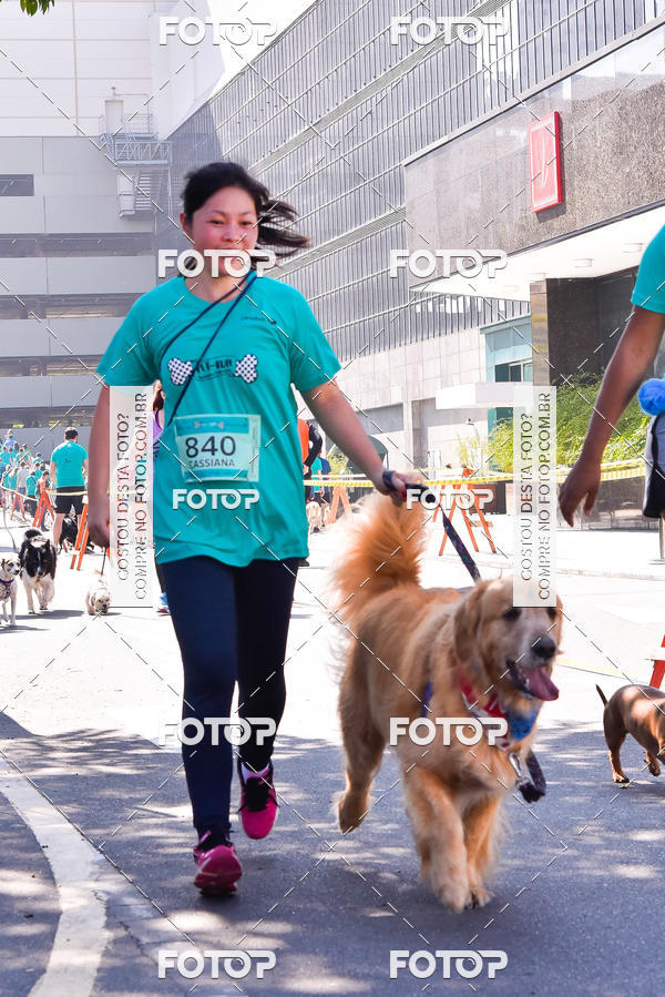 Buy your photos of the event2 Pet Run Shopping Eldorado  on Fotop