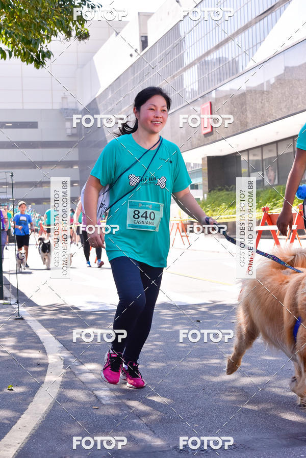 Buy your photos of the event2 Pet Run Shopping Eldorado  on Fotop