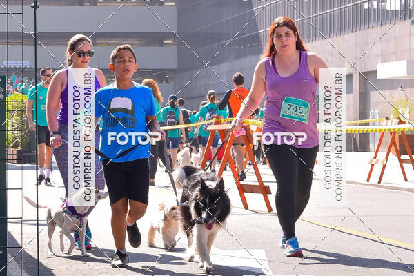 Buy your photos of the event2 Pet Run Shopping Eldorado  on Fotop