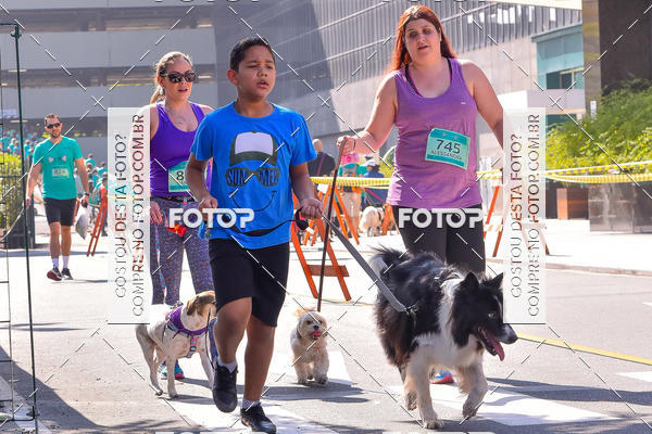 Buy your photos of the event2 Pet Run Shopping Eldorado  on Fotop