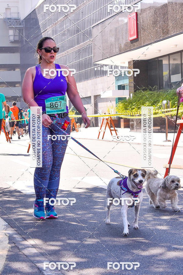 Buy your photos of the event2 Pet Run Shopping Eldorado  on Fotop