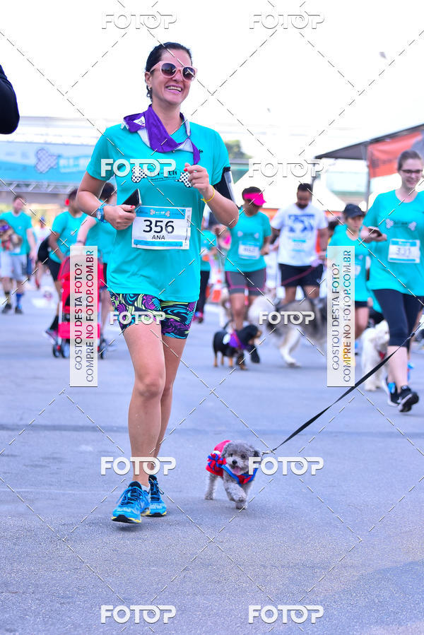 Buy your photos of the event2 Pet Run Shopping Eldorado  on Fotop