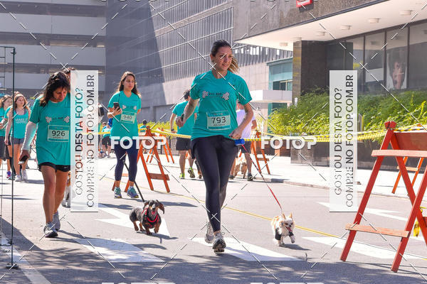 Buy your photos of the event2 Pet Run Shopping Eldorado  on Fotop