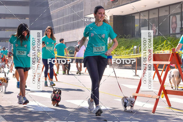 Buy your photos of the event2 Pet Run Shopping Eldorado  on Fotop
