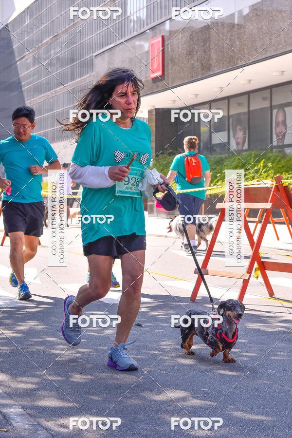 Buy your photos of the event2 Pet Run Shopping Eldorado  on Fotop