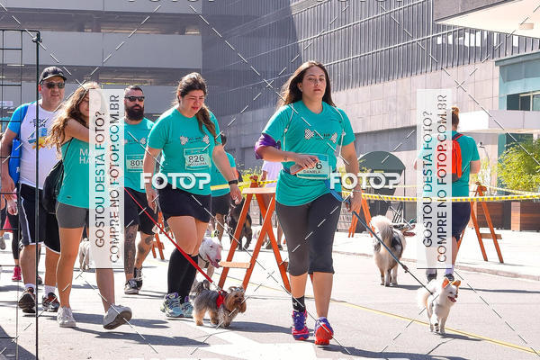 Buy your photos of the event2 Pet Run Shopping Eldorado  on Fotop