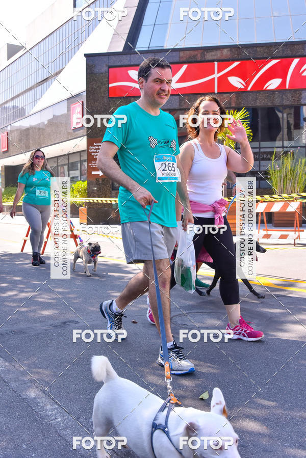 Buy your photos of the event2 Pet Run Shopping Eldorado  on Fotop
