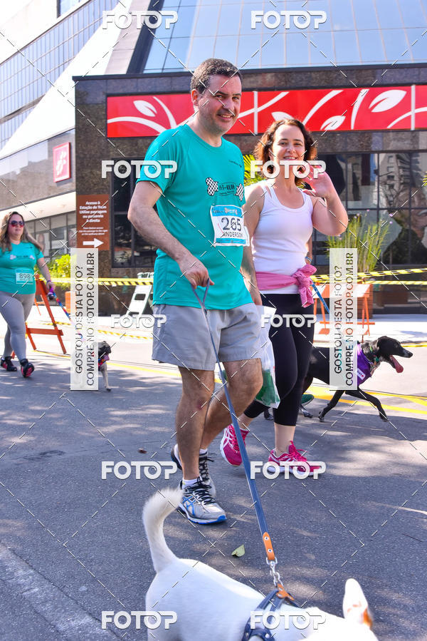 Buy your photos of the event2 Pet Run Shopping Eldorado  on Fotop