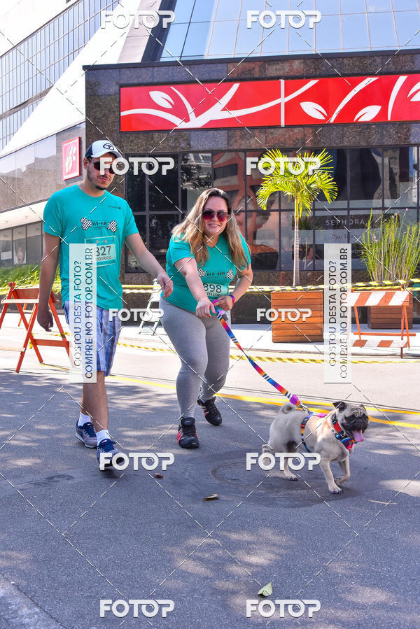 Buy your photos of the event2 Pet Run Shopping Eldorado  on Fotop