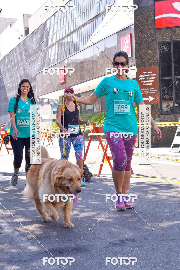 Buy your photos of the event2 Pet Run Shopping Eldorado  on Fotop