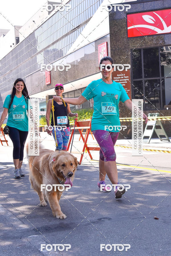 Buy your photos of the event2 Pet Run Shopping Eldorado  on Fotop