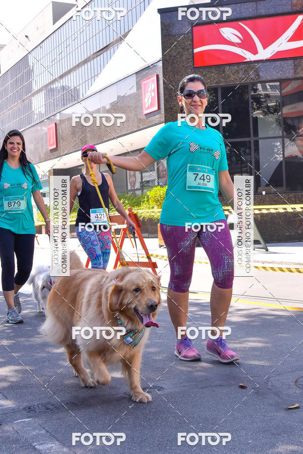 Buy your photos of the event2 Pet Run Shopping Eldorado  on Fotop