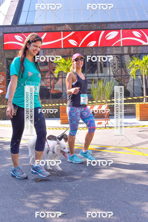 Buy your photos of the event2 Pet Run Shopping Eldorado  on Fotop
