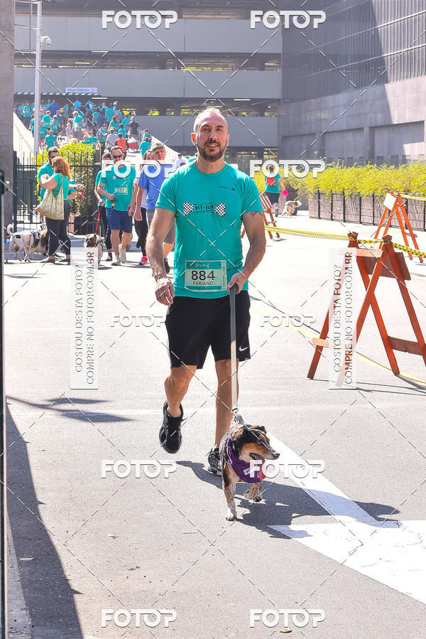 Buy your photos of the event2 Pet Run Shopping Eldorado  on Fotop