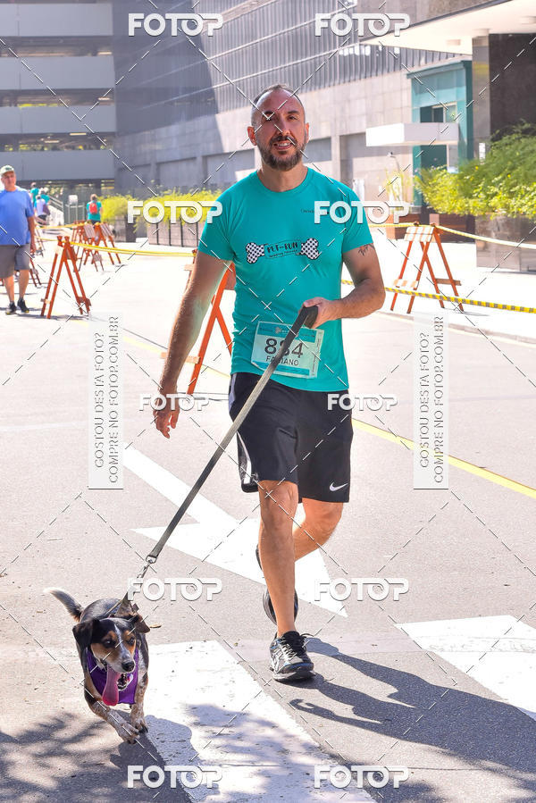 Buy your photos of the event2 Pet Run Shopping Eldorado  on Fotop