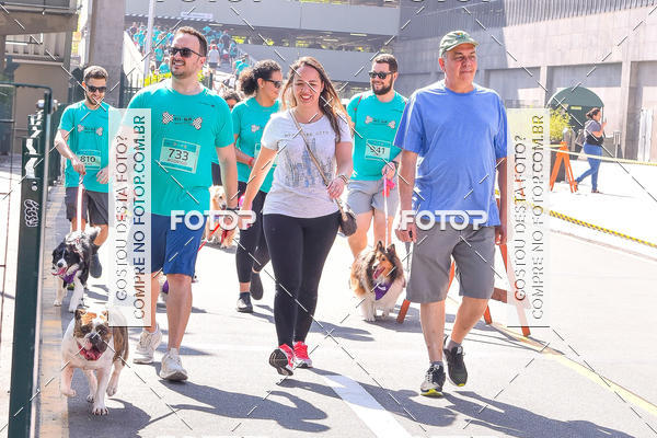 Buy your photos of the event2 Pet Run Shopping Eldorado  on Fotop