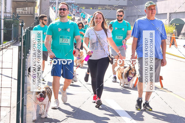 Buy your photos of the event2 Pet Run Shopping Eldorado  on Fotop