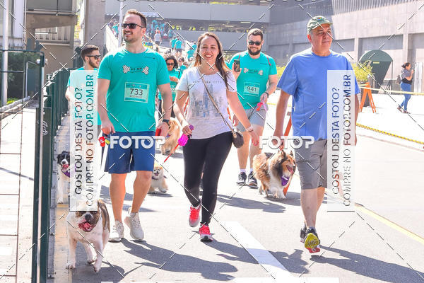 Buy your photos of the event2 Pet Run Shopping Eldorado  on Fotop