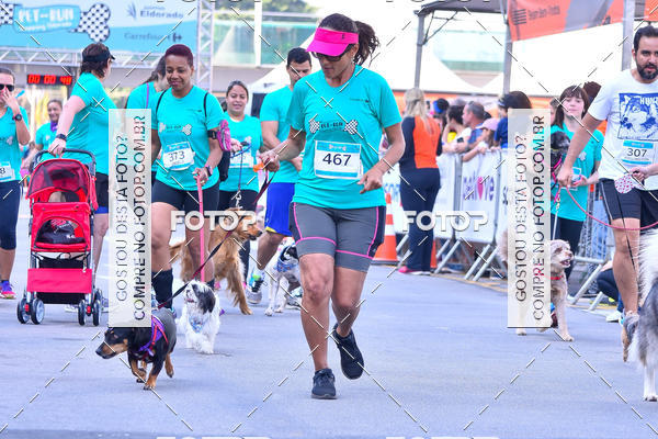 Buy your photos of the event2 Pet Run Shopping Eldorado  on Fotop