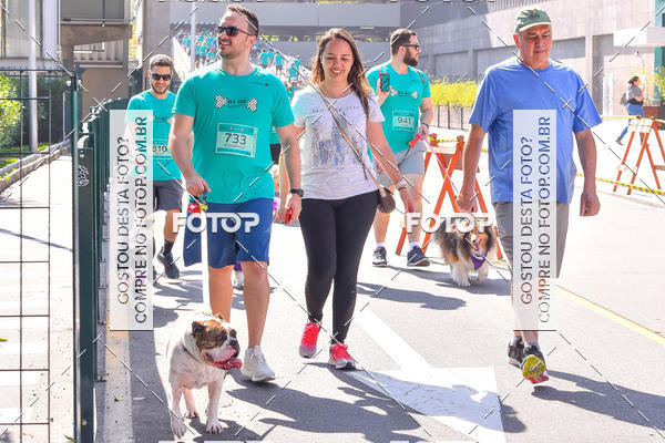 Buy your photos of the event2 Pet Run Shopping Eldorado  on Fotop