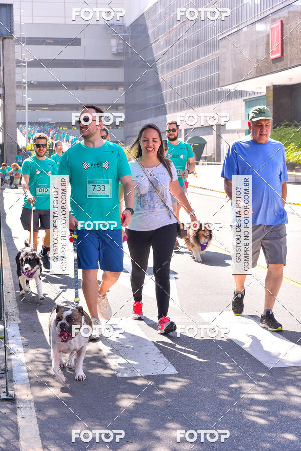 Buy your photos of the event2 Pet Run Shopping Eldorado  on Fotop