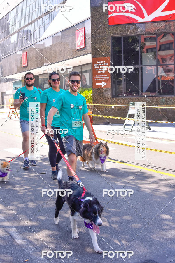 Buy your photos of the event2 Pet Run Shopping Eldorado  on Fotop