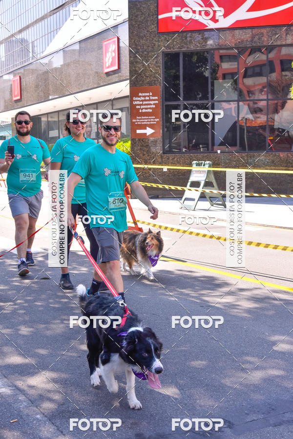 Buy your photos of the event2 Pet Run Shopping Eldorado  on Fotop