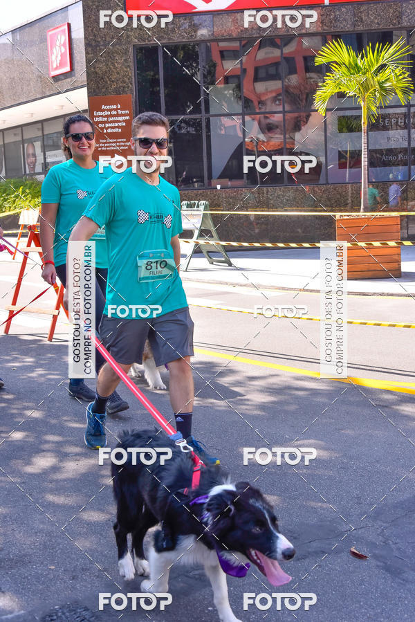 Buy your photos of the event2 Pet Run Shopping Eldorado  on Fotop