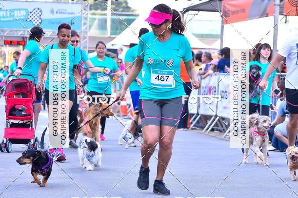 Buy your photos of the event2 Pet Run Shopping Eldorado  on Fotop