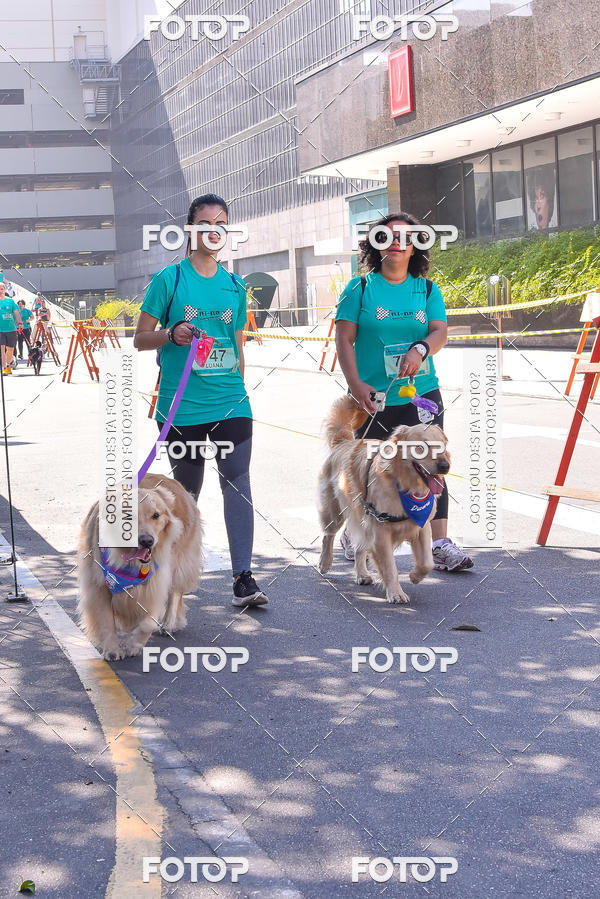 Buy your photos of the event2 Pet Run Shopping Eldorado  on Fotop