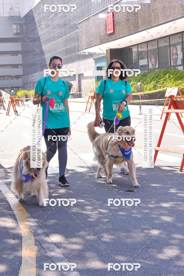 Buy your photos of the event2 Pet Run Shopping Eldorado  on Fotop