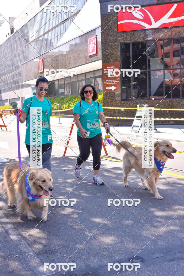 Buy your photos of the event2 Pet Run Shopping Eldorado  on Fotop