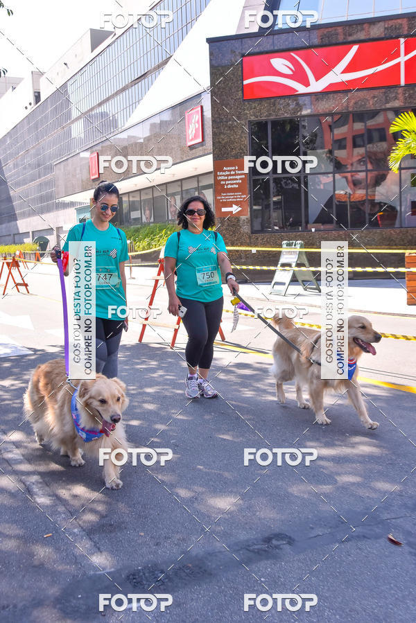Buy your photos of the event2 Pet Run Shopping Eldorado  on Fotop