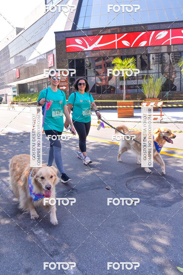 Buy your photos of the event2 Pet Run Shopping Eldorado  on Fotop