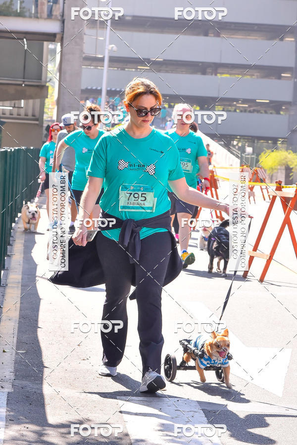 Buy your photos of the event2 Pet Run Shopping Eldorado  on Fotop