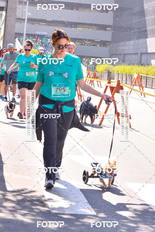 Buy your photos of the event2 Pet Run Shopping Eldorado  on Fotop