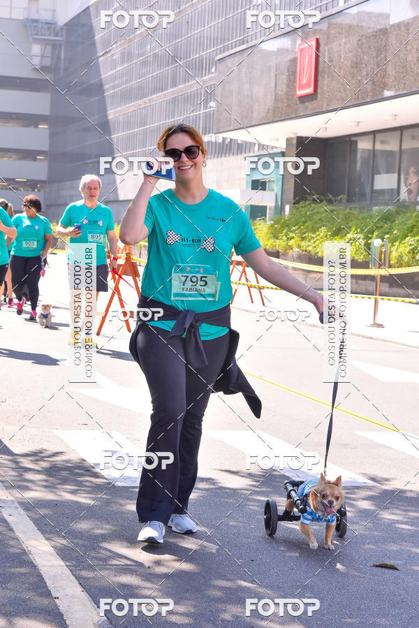 Buy your photos of the event2 Pet Run Shopping Eldorado  on Fotop