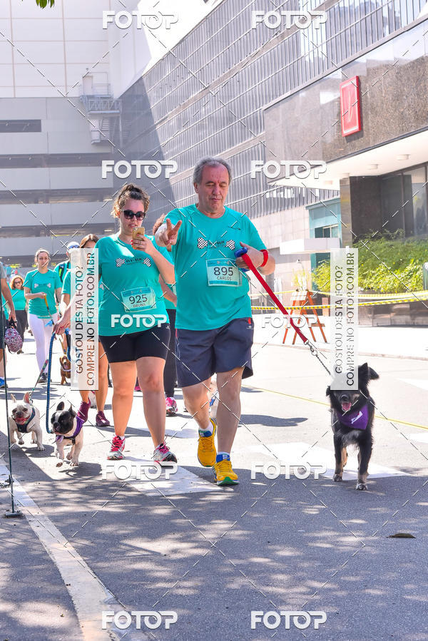 Buy your photos of the event2 Pet Run Shopping Eldorado  on Fotop