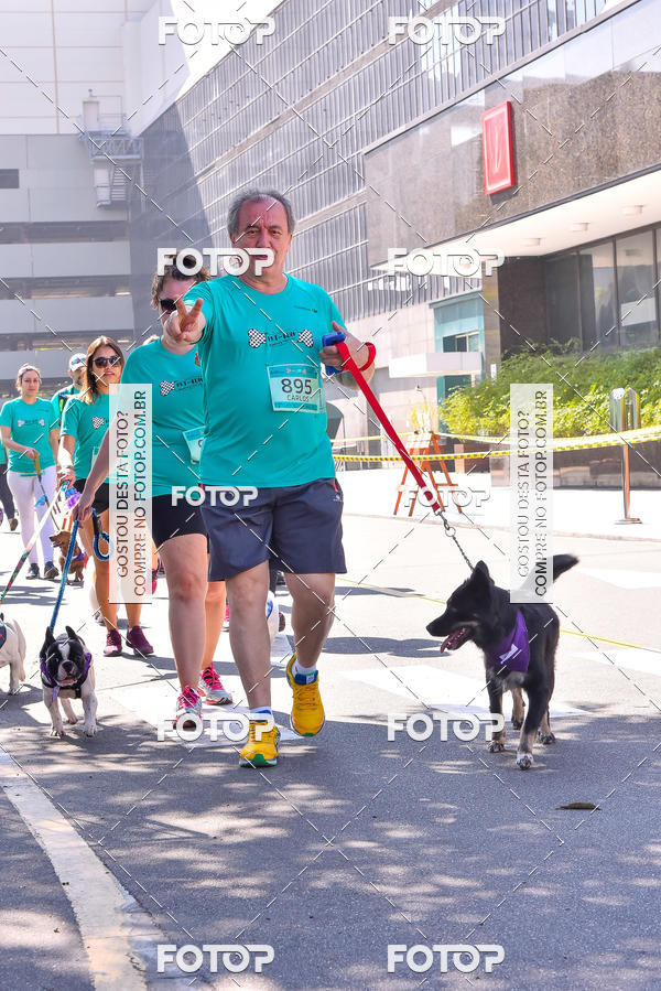 Buy your photos of the event2 Pet Run Shopping Eldorado  on Fotop