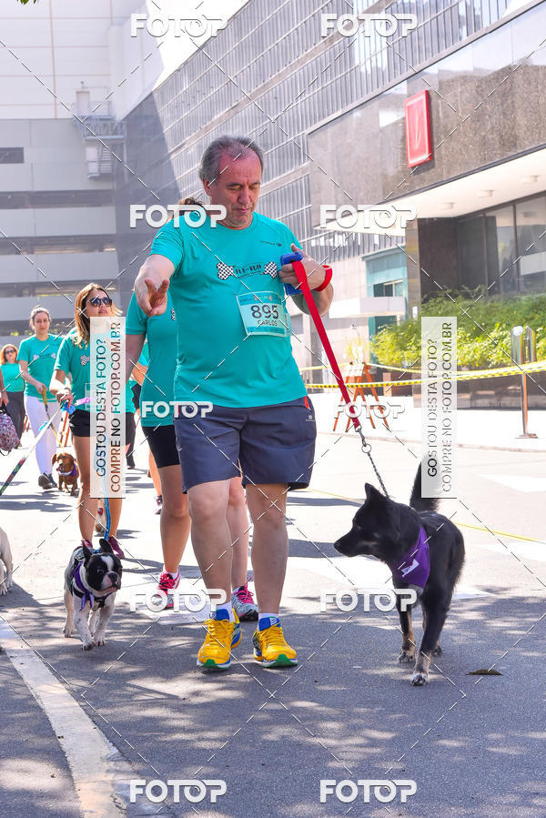 Buy your photos of the event2 Pet Run Shopping Eldorado  on Fotop